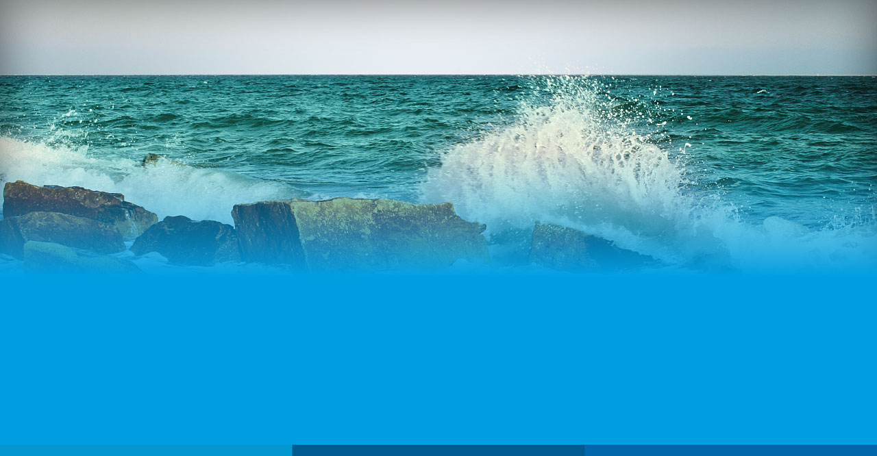 00_header-02